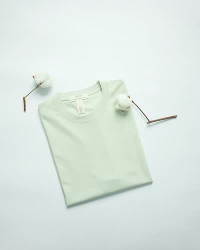 Women's Mint Organic T-Shirt